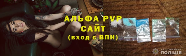дурь Инта