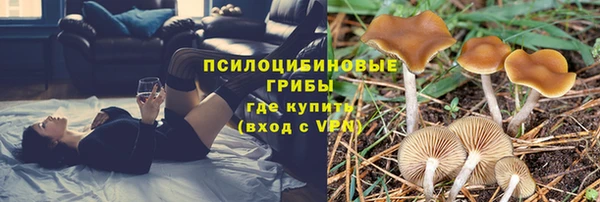 синтетический гашиш Каменногорск